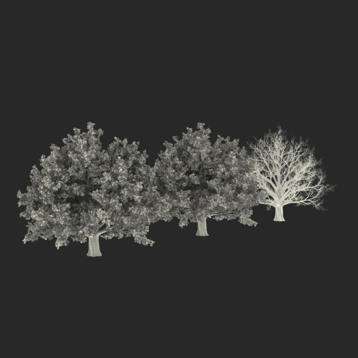 3D model Red Oak Old Tree Set